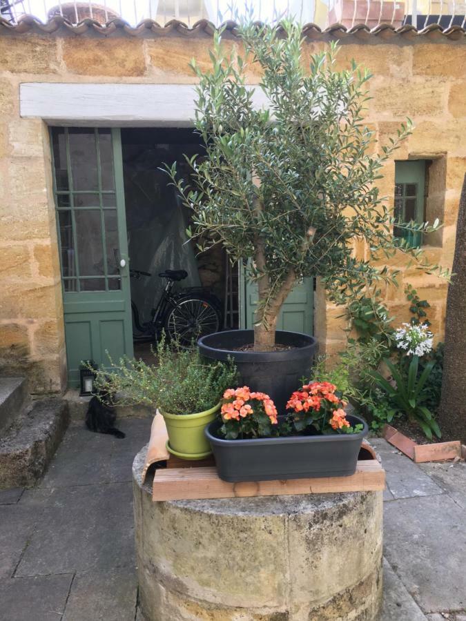 Maison De Maitre Elegia คาสติยง-ลา-บาตาล์ย ภายนอก รูปภาพ