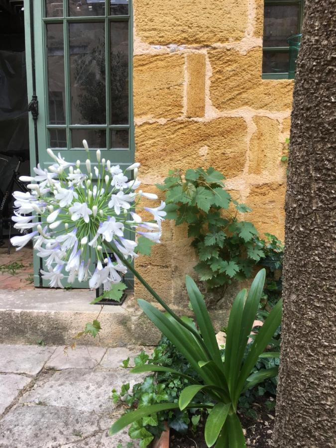 Maison De Maitre Elegia คาสติยง-ลา-บาตาล์ย ภายนอก รูปภาพ